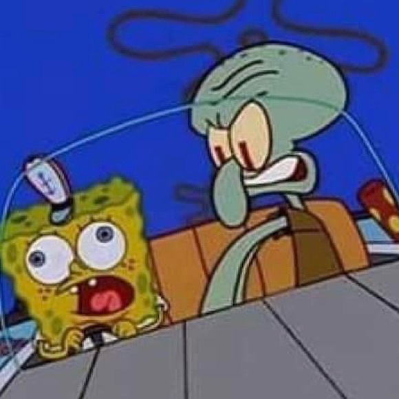 Meet your Posher, Gavin - Picture 1 of 1